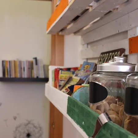 Bed 'n Books 萨萨里